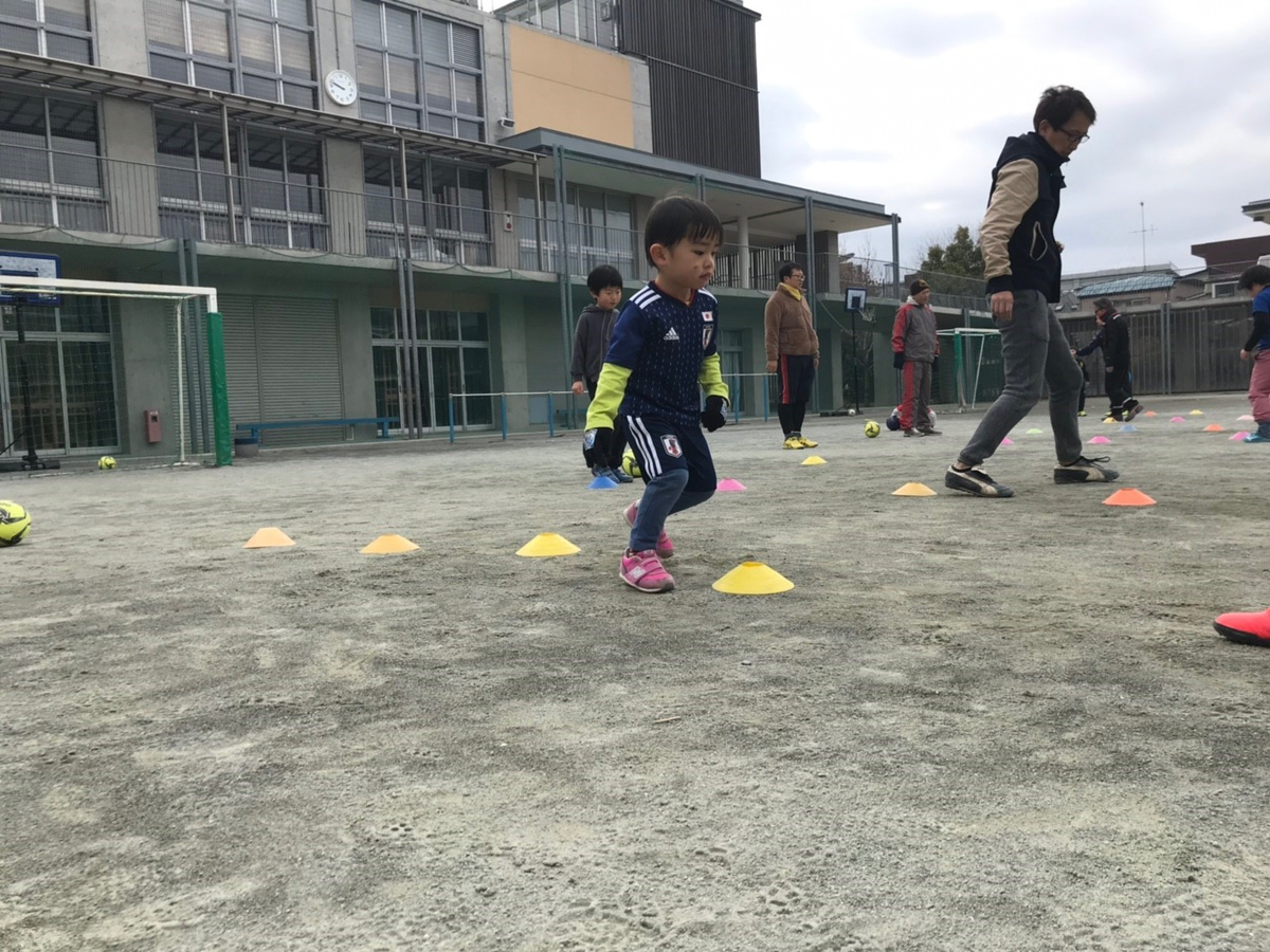 img20190221104255033716.jpg